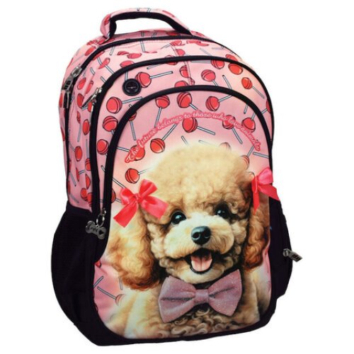 ΤΣΑΝΤΑ ΠΛΑΤΗΣ ΔΗΜΟΤΙΚΟΥ ΟΒΑΛ LOVE POODLE