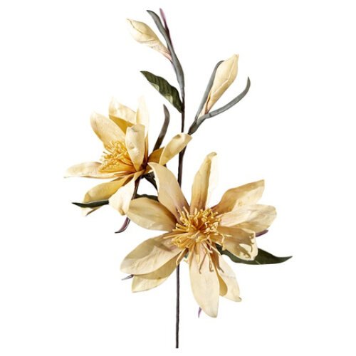 ΛΟΥΛΟΥΔΙ ΚΙΤΡΙΝΟ ΜΕΓΑΛΟ ΔΙΠΛΟ ΜΕ ΜΠΟΥΜΠΟΥΚΙΑ 90ΕΚ