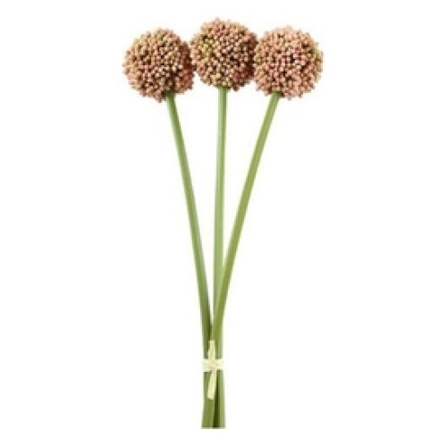 ALLIUM ΡΟΖ 55ΕΚ. ΛΟΥΛΟΥΔΙΑ